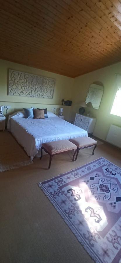 Vivienda El Olivo Con Piscina Privada Y Jardin. Villa Ayegui Bagian luar foto